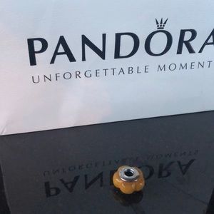 Pandora Caramel Wood Charm